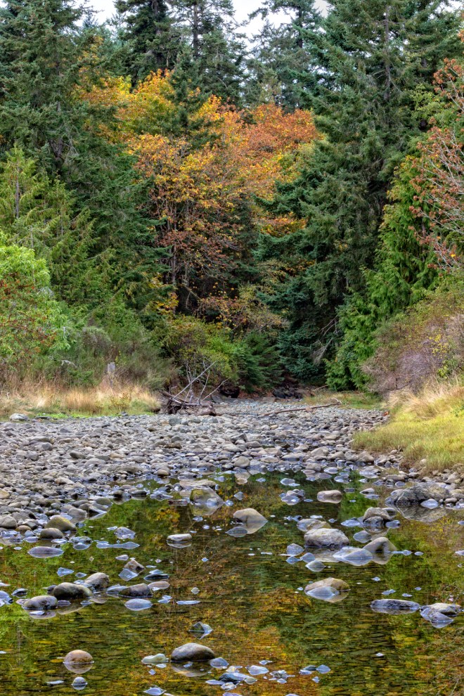 Ayum Creek is little more than a dry stream bed dotted with a few puddles in Late September