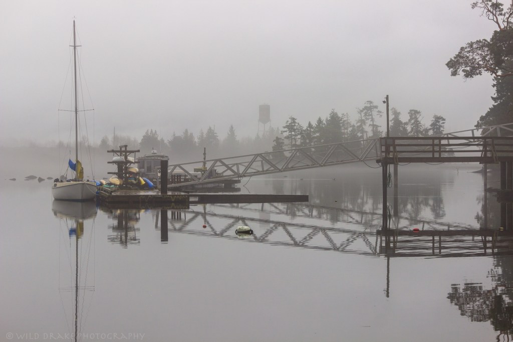 Water Tower In The Fog