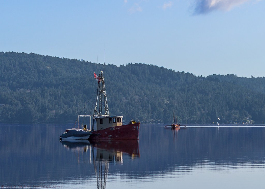 Boats in the Sooke Basin