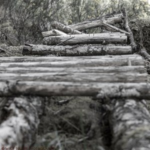 an old, disused, wooden bicycle pathway
