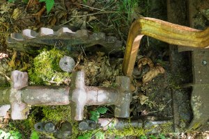 old gears covered with moss