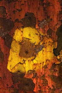 time took it's toll and left a heavily rusted surface