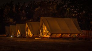 darkness surrounds oTENTiks at a Parks Canada site