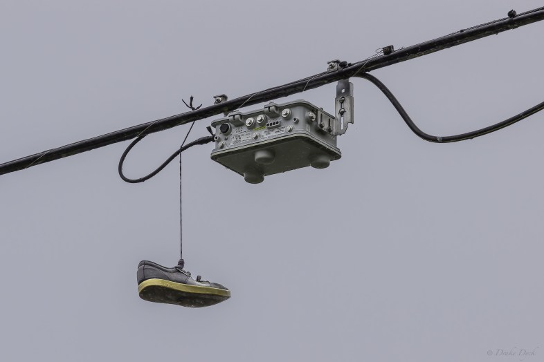 a single shoe dangles by a lace from a power line