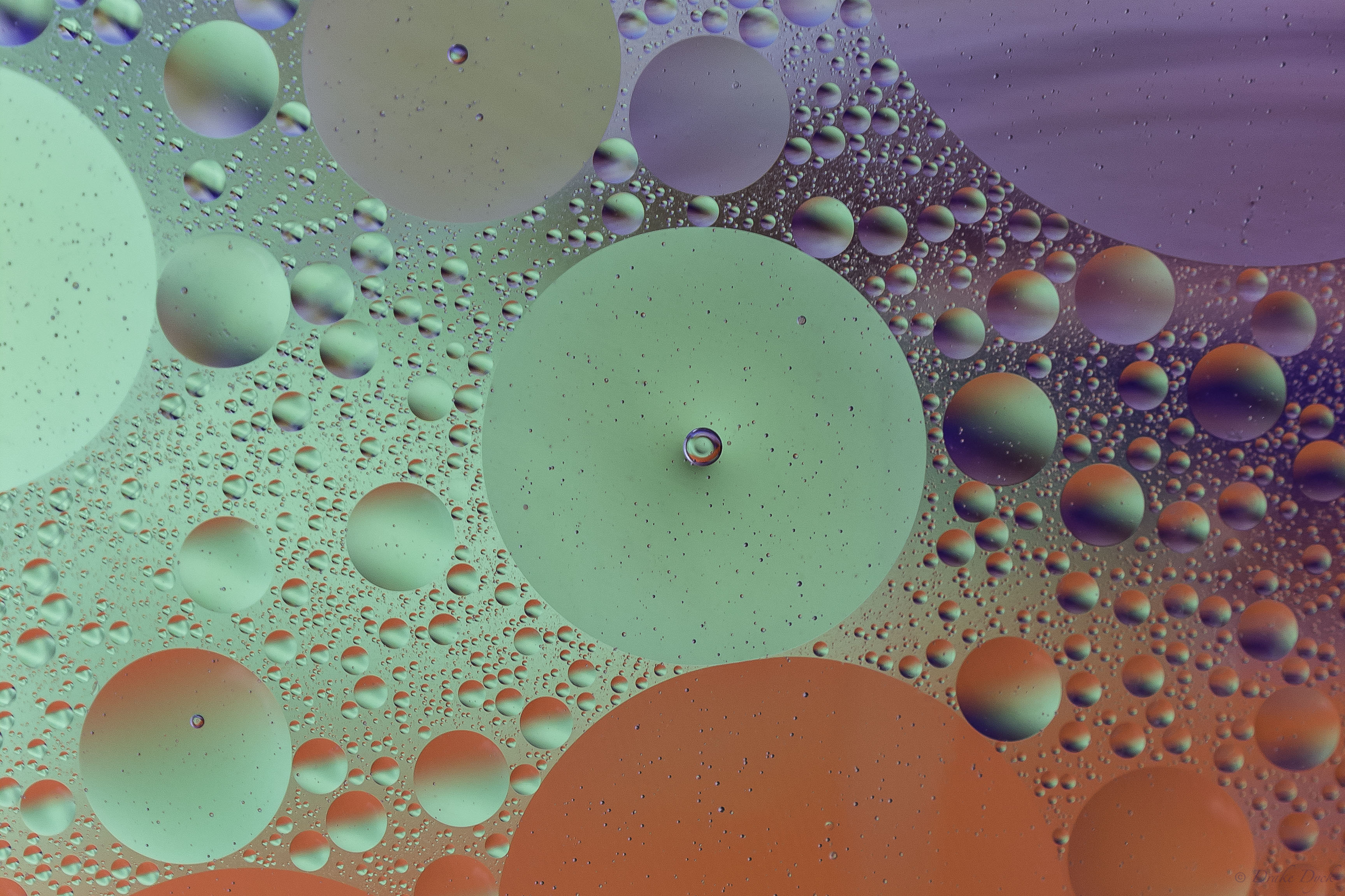 oil and water bubbles on a colourful background