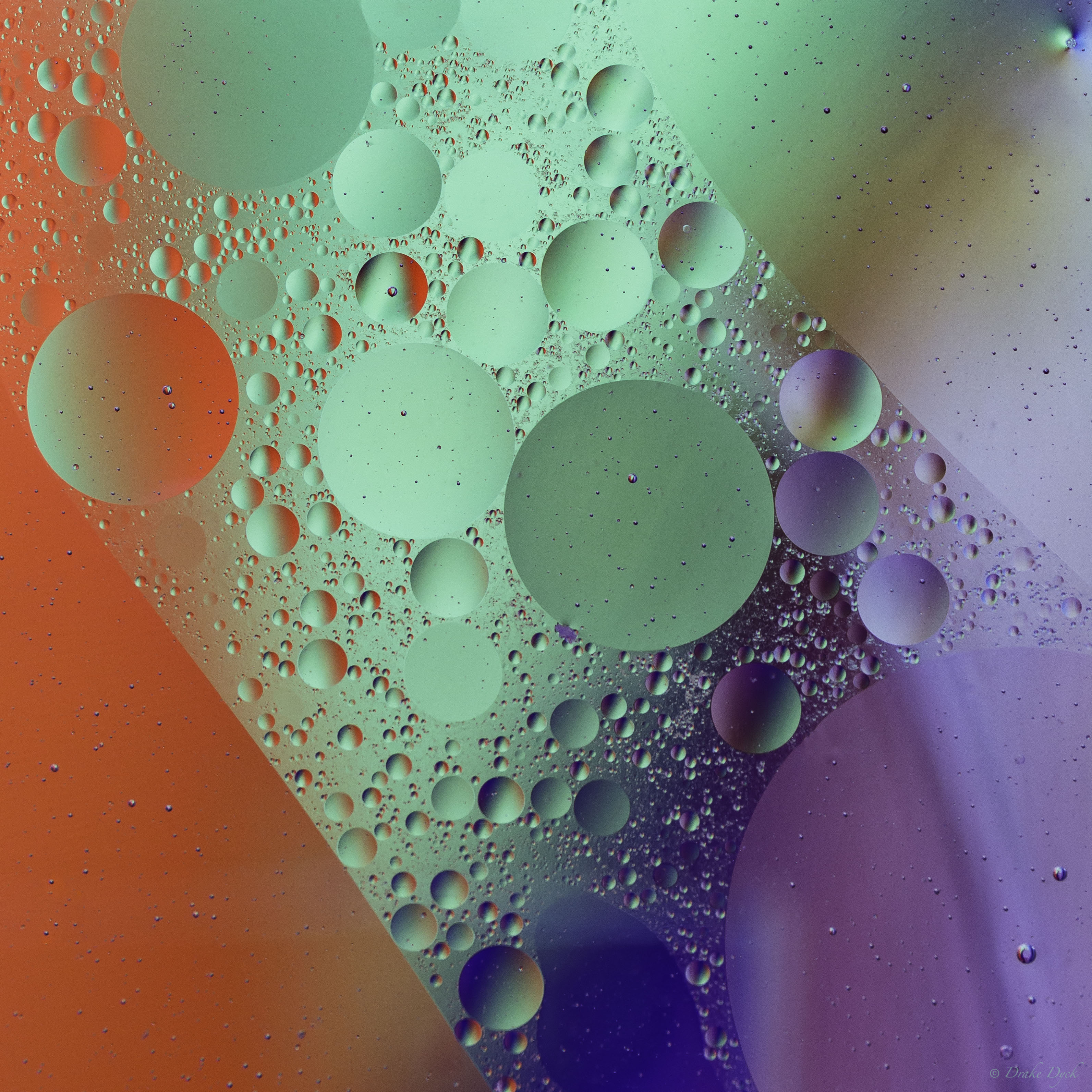 colourful oil and water pattern