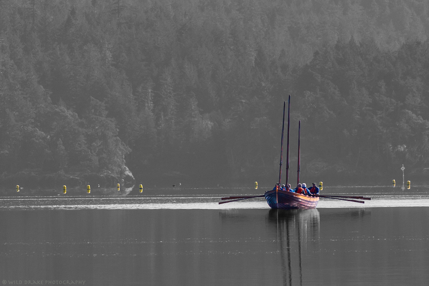 a group of people row a boat