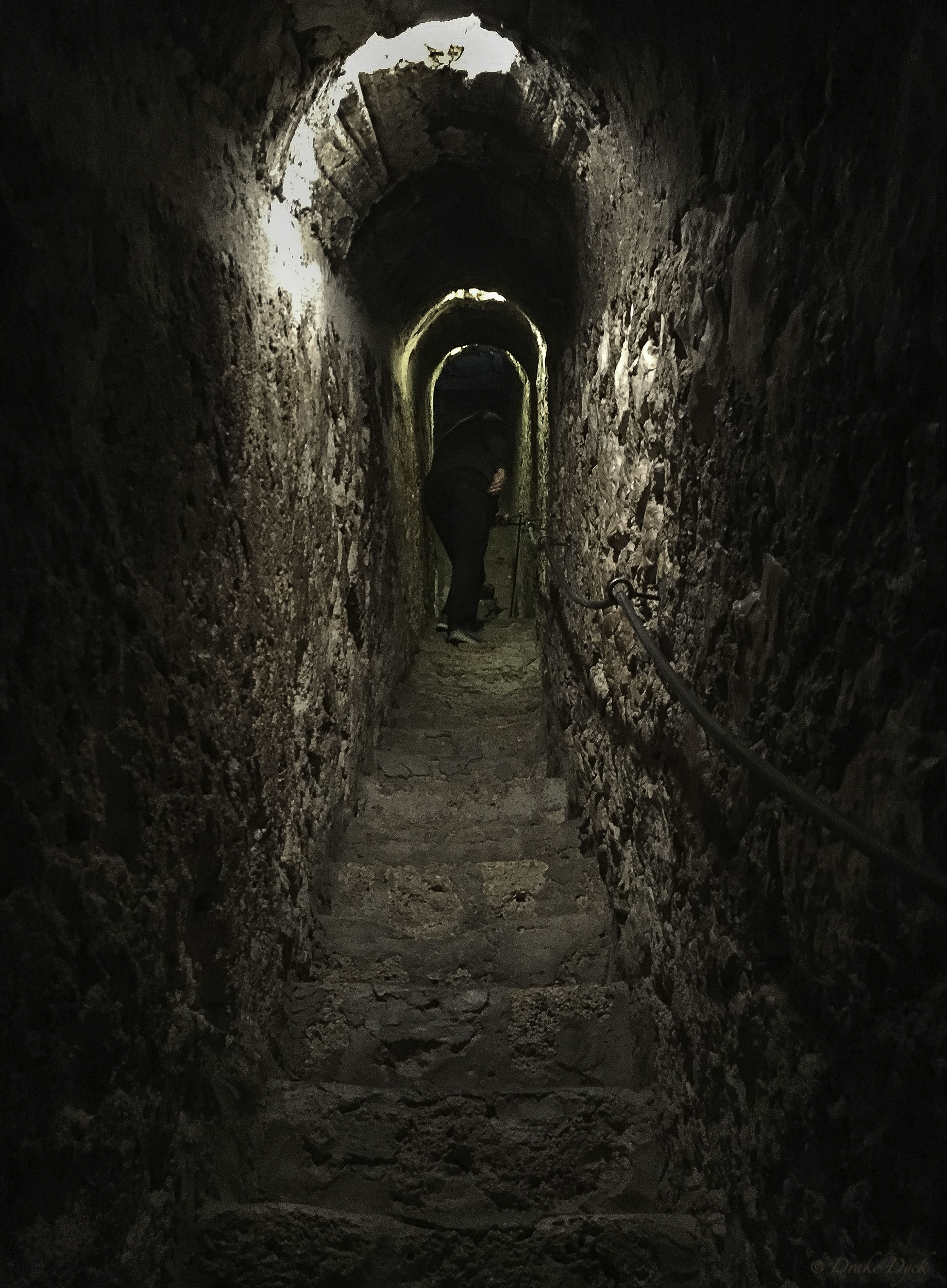 a narrow secret passage leading up stairs in Dracula's castle