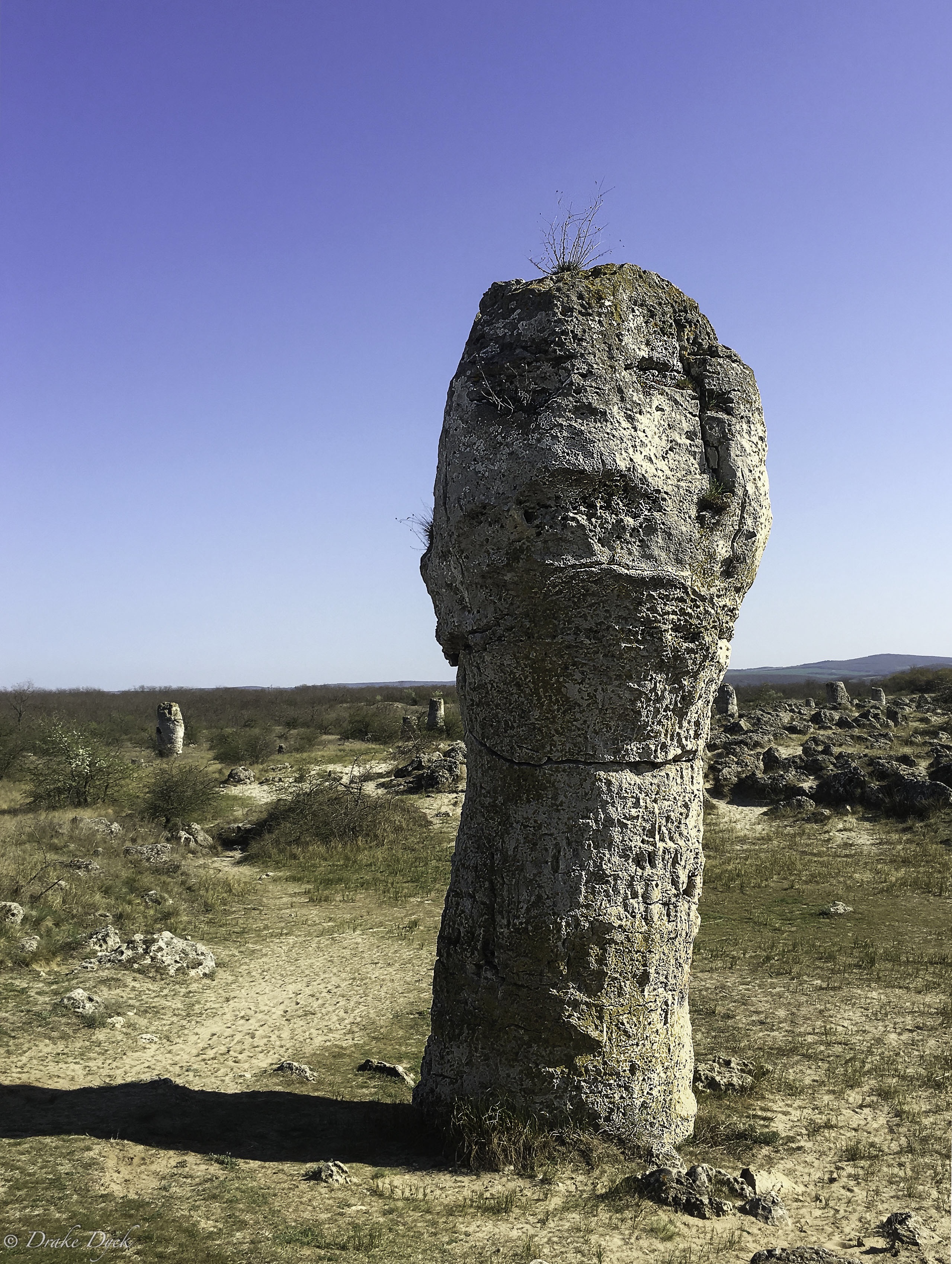stone forest face