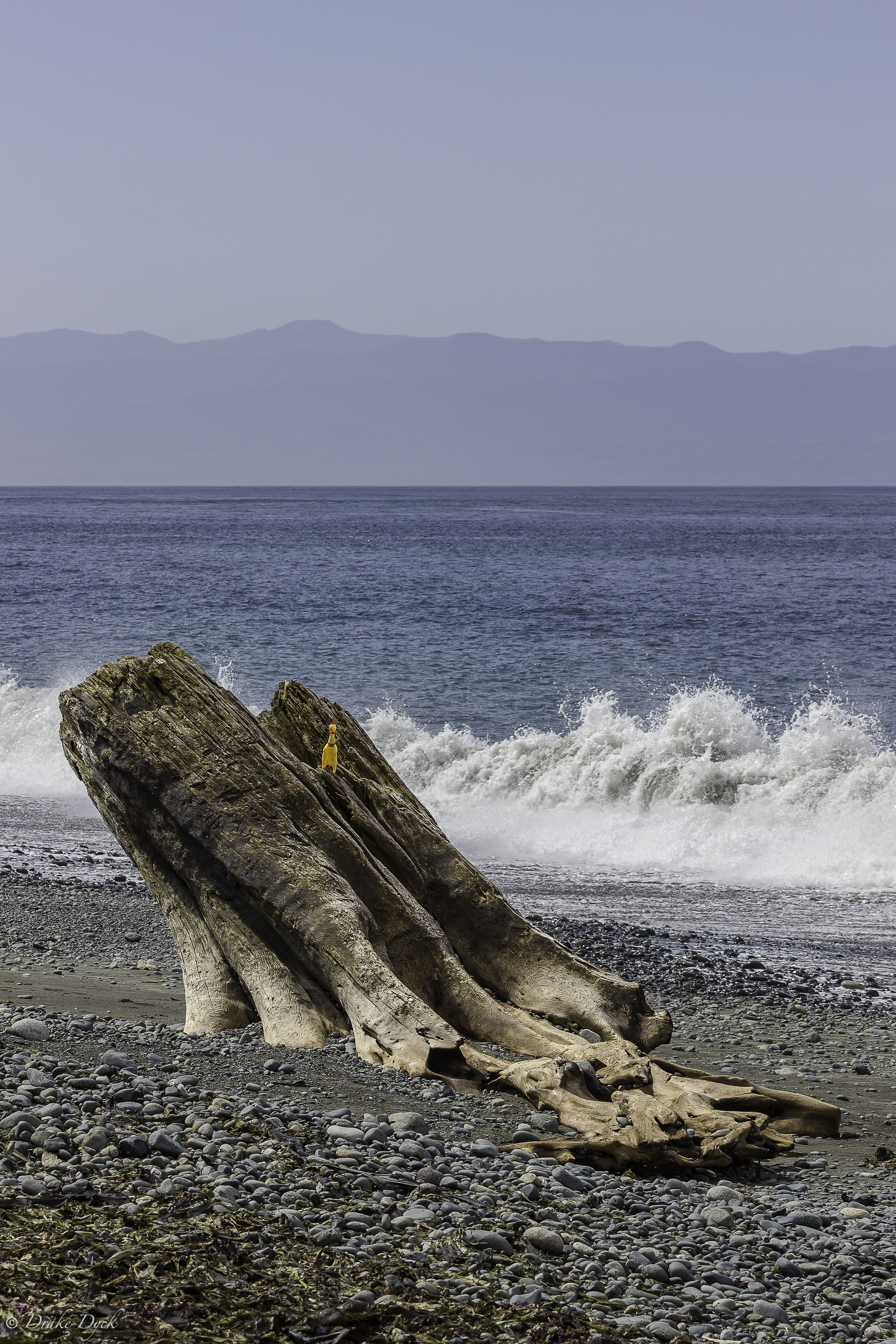 stump on the beach with waves and mountains