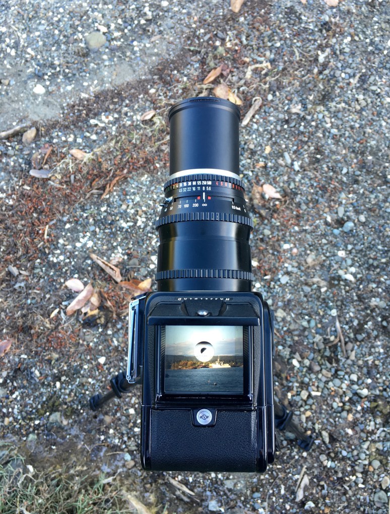 view through the Hasselblad viewfinder
