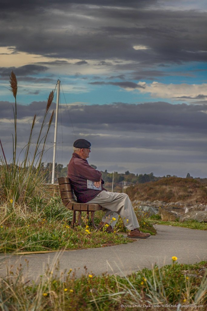 old gentleman sitting on a bench with his book