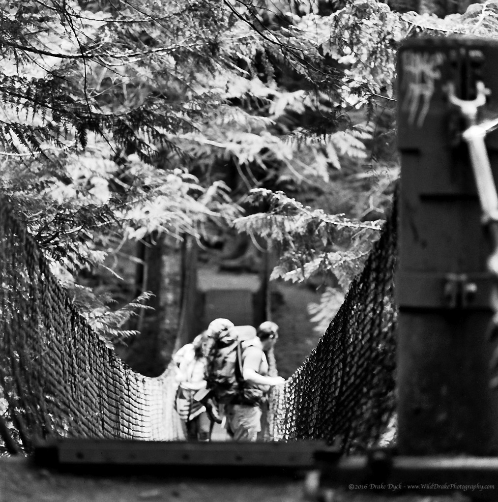 people pause to look while on a suspension bridge