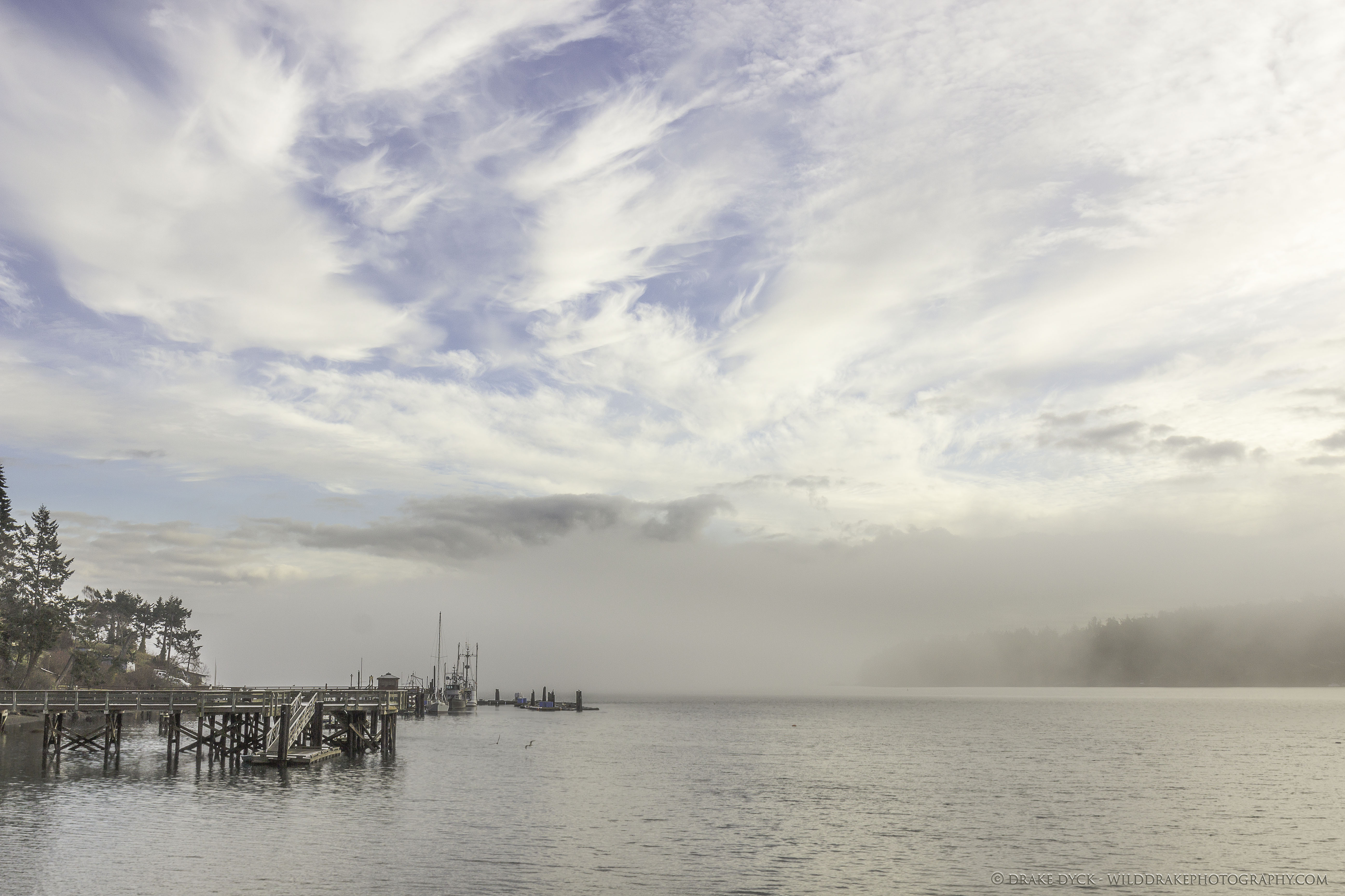 foggy-harbour