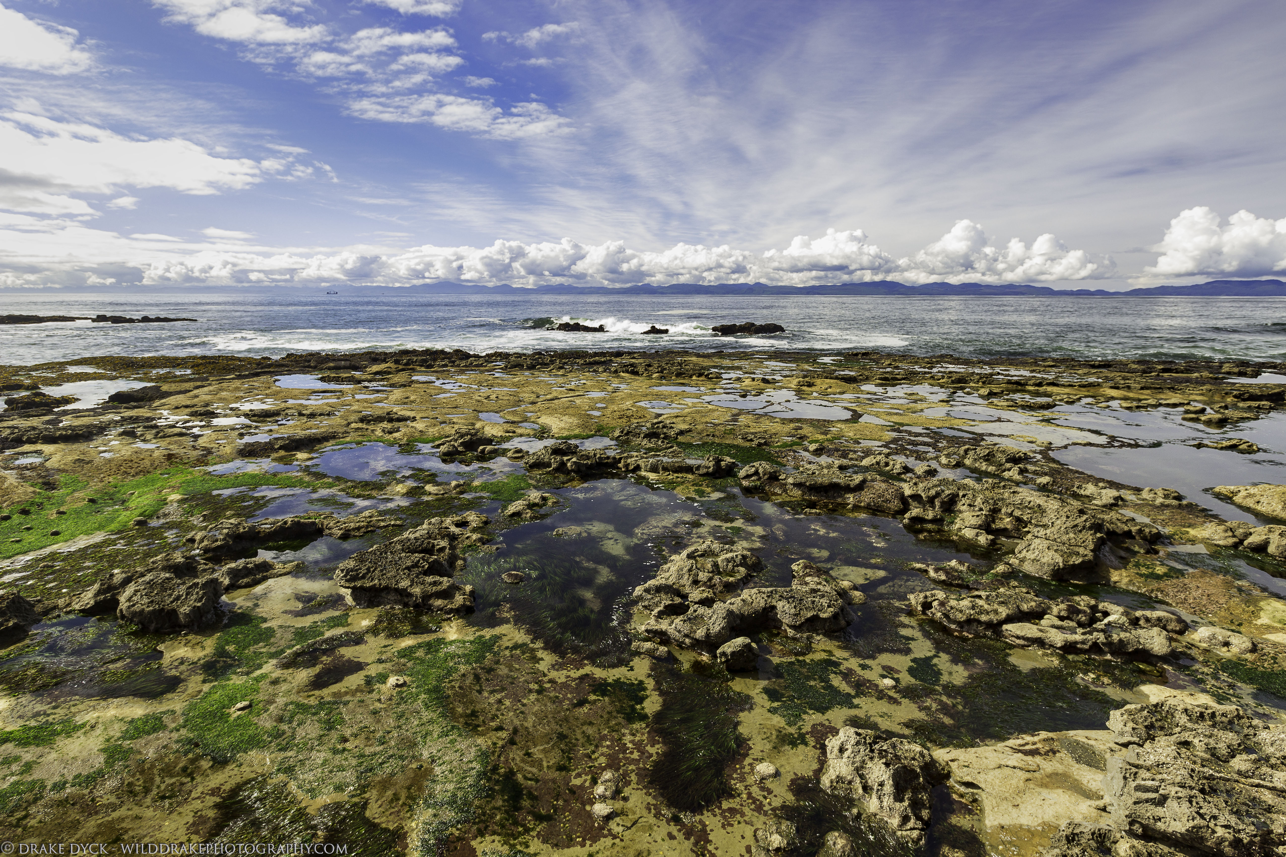tide pools filled with flora and fauna on the southwest edge of Vancouver Island with some fluffy white clouds