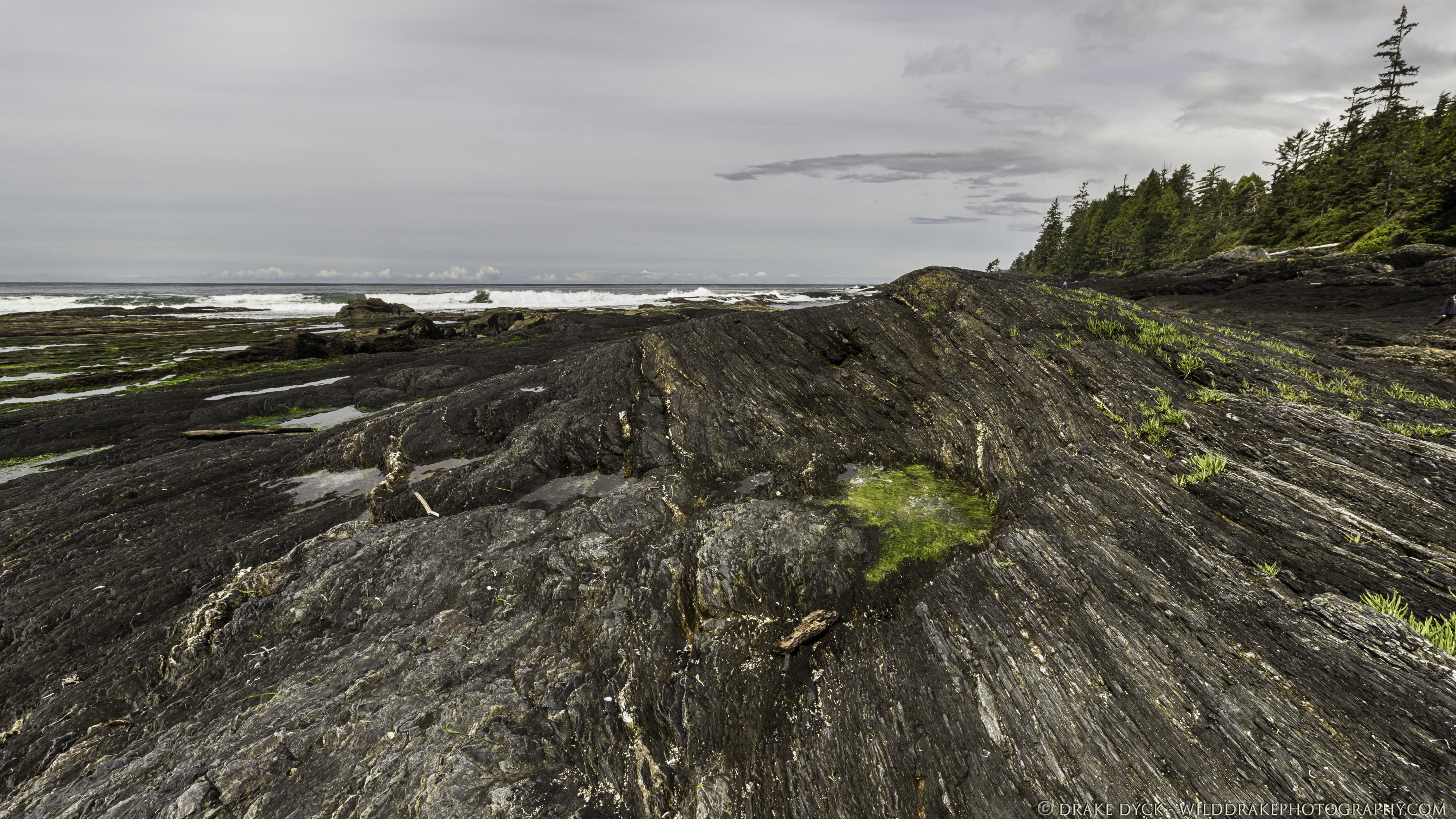 rock showing signs of upheaval