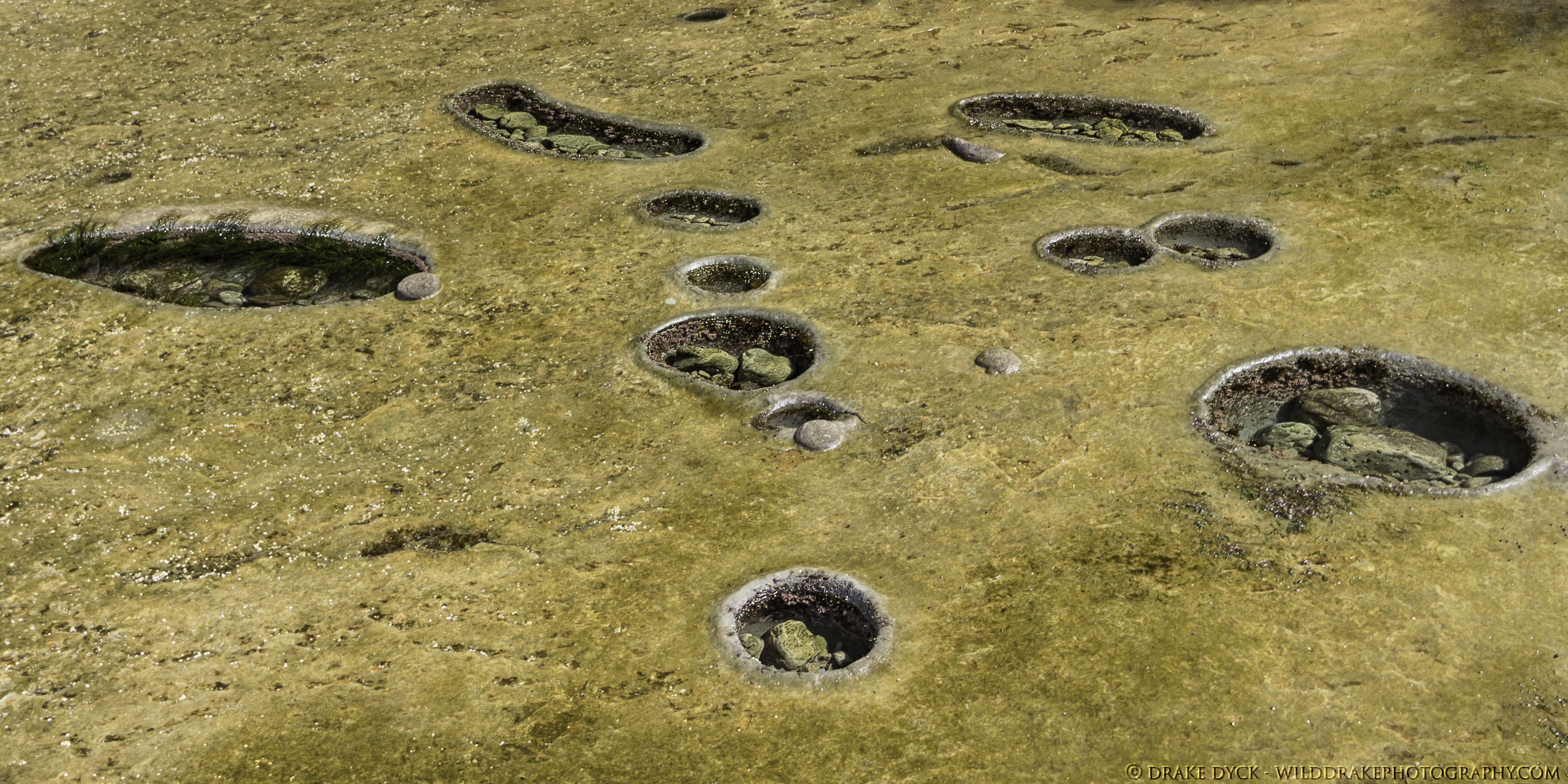 holes in the bedrock contain forms of saline and large rocks