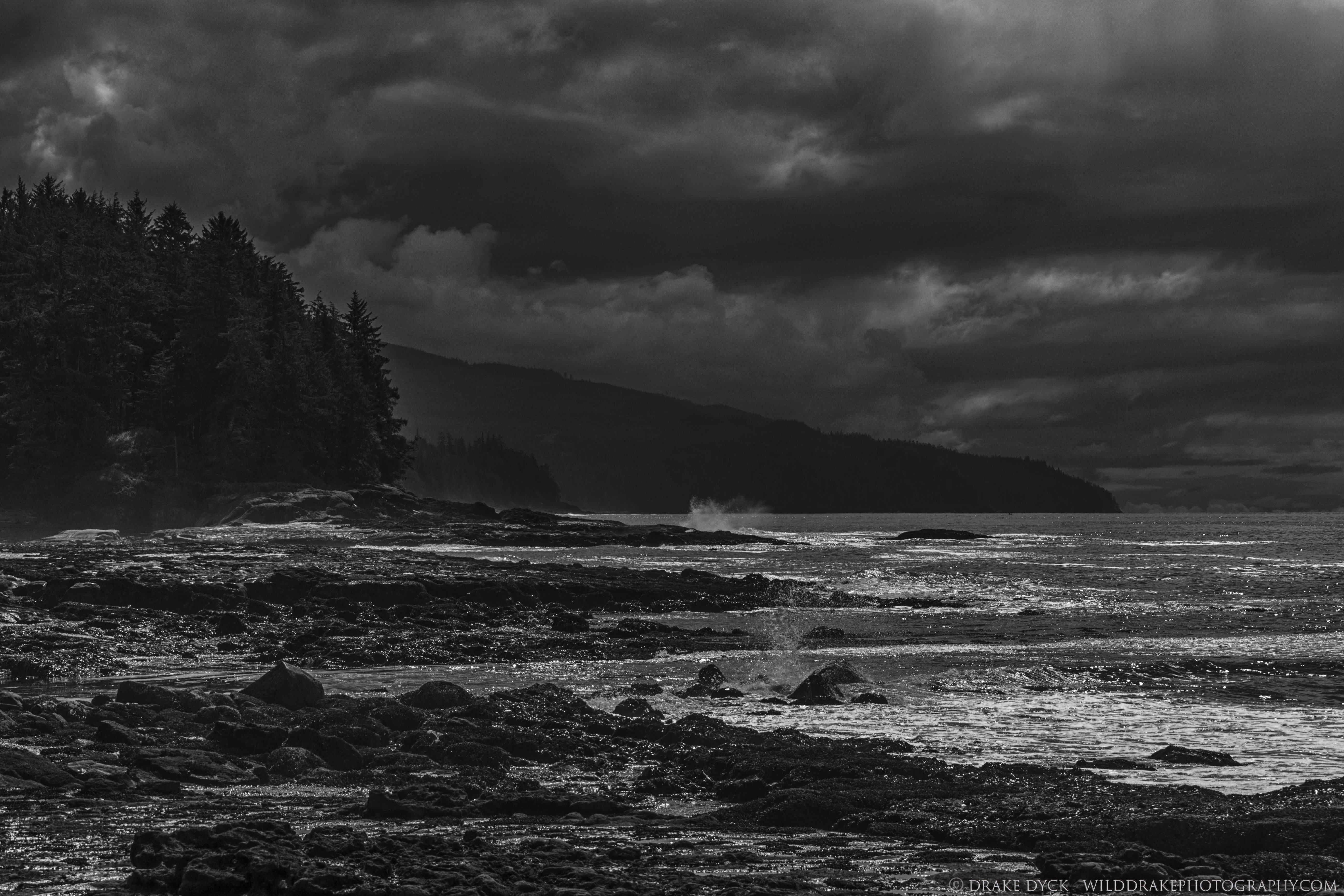 black and white image of Botanical Beach showing rocky shore and some trees under dark clouds