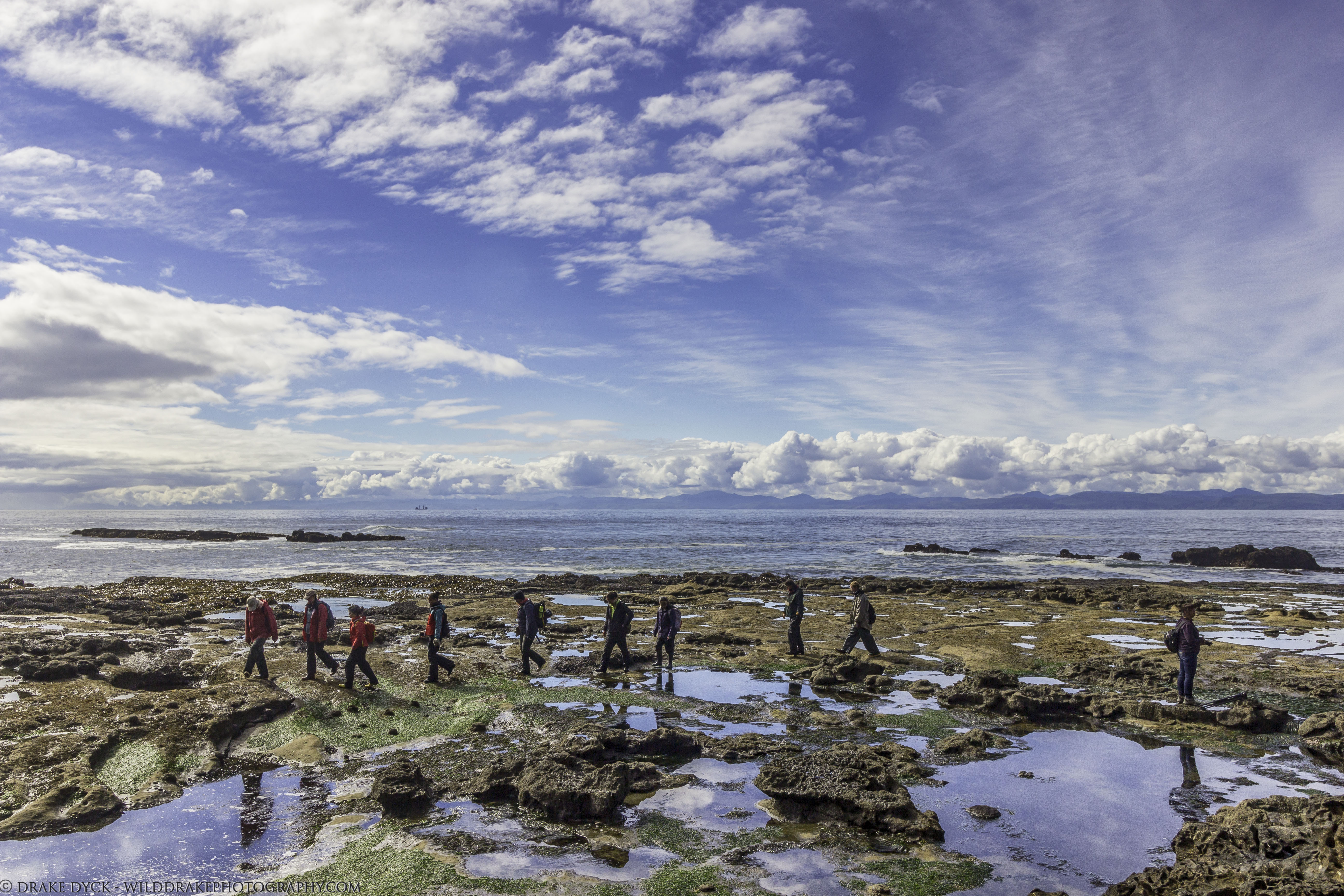a like of people walking across the shore while a lone photographer faces the other direction