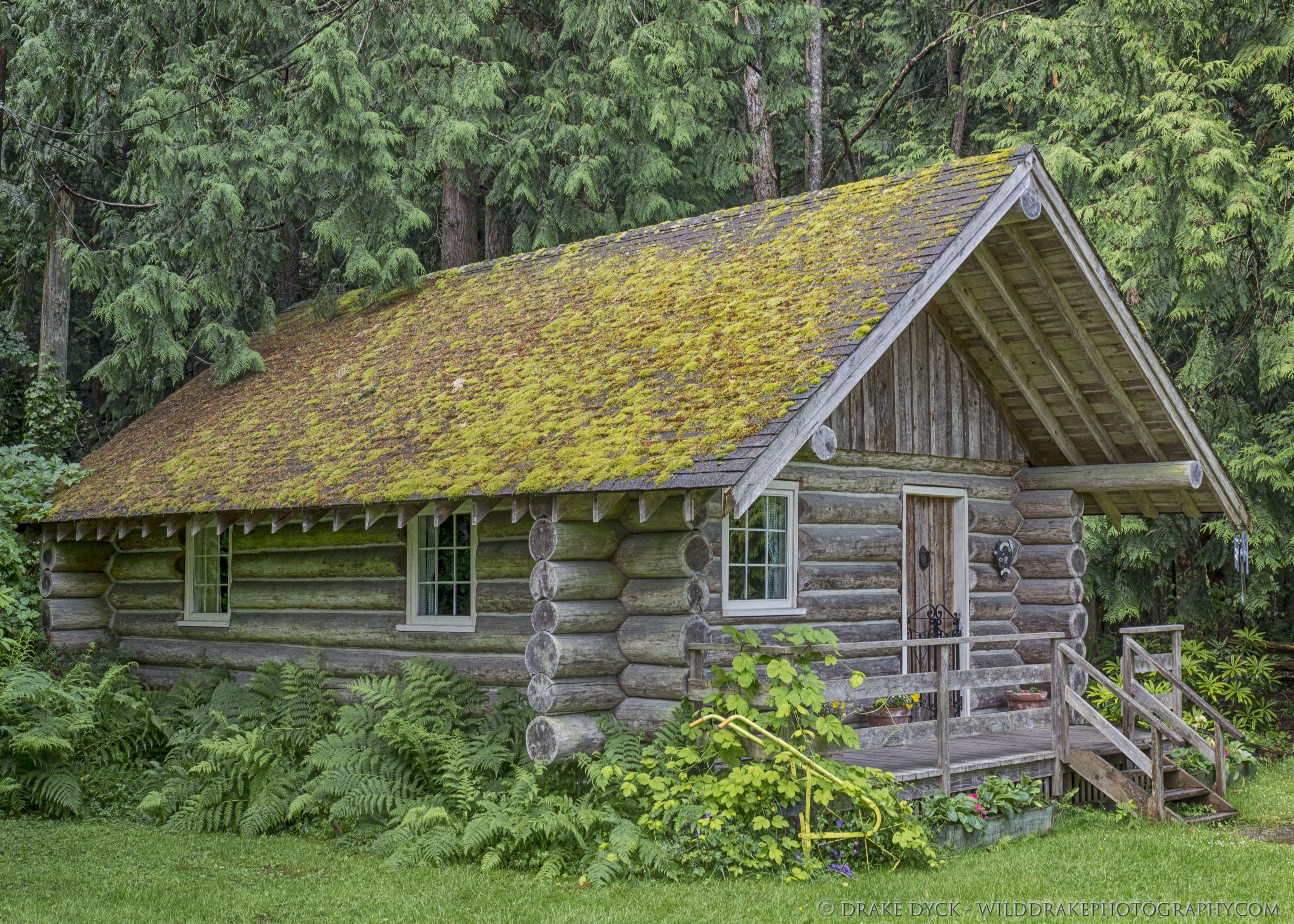 a beautiful wooden cabin surrounded by the forest
