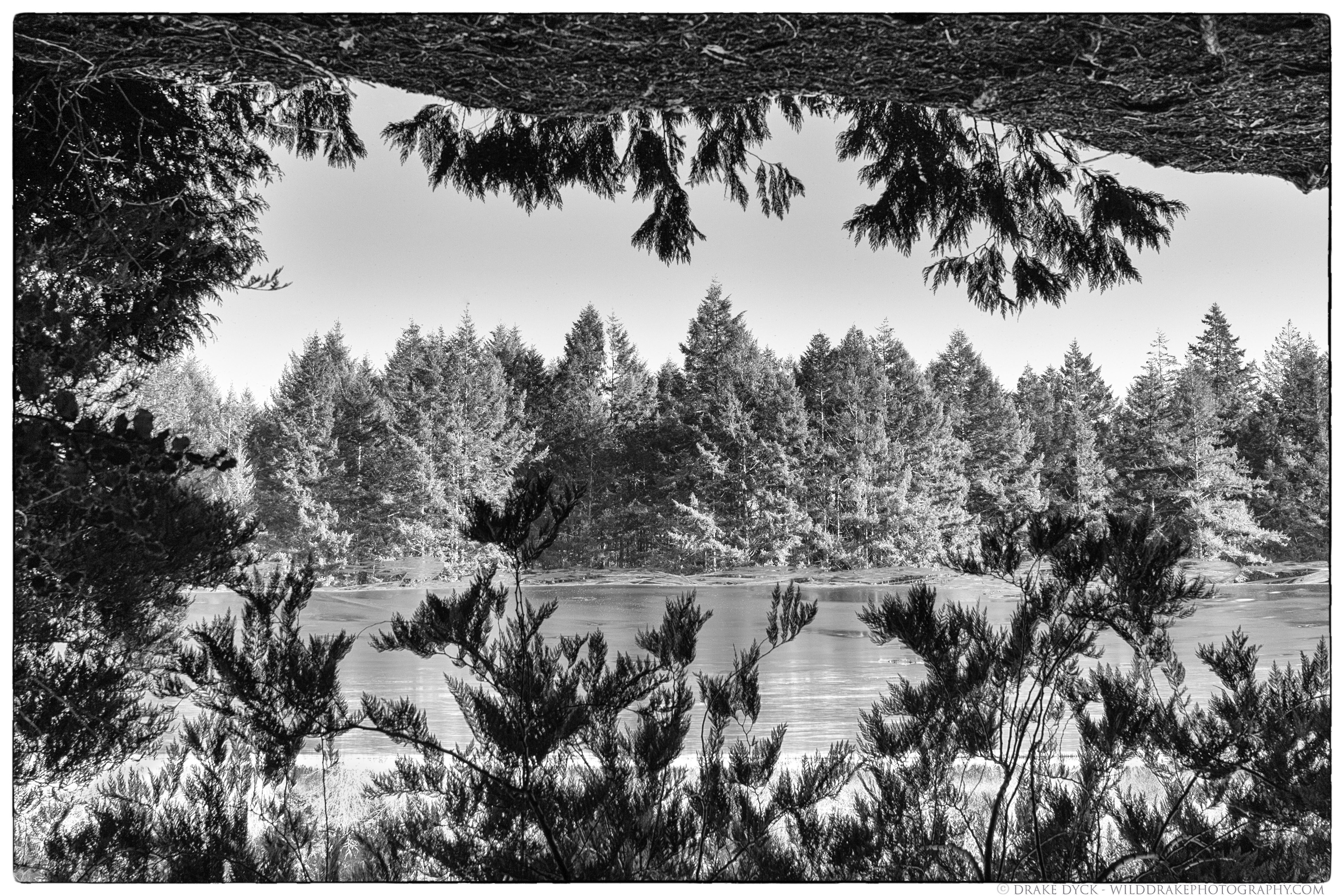 Shades of Grey Turned Upside Down