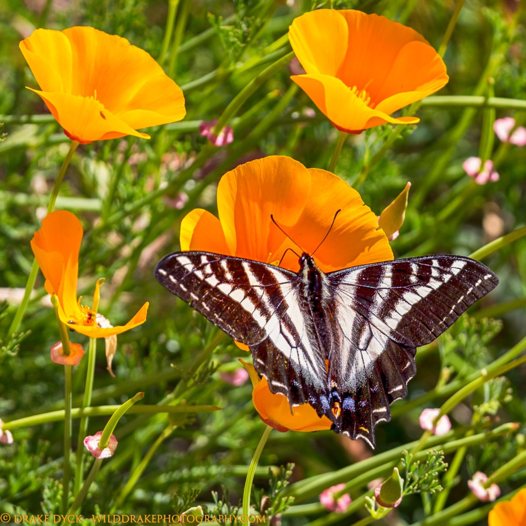 Top Ten (favourite) Images of&nbsp;2017