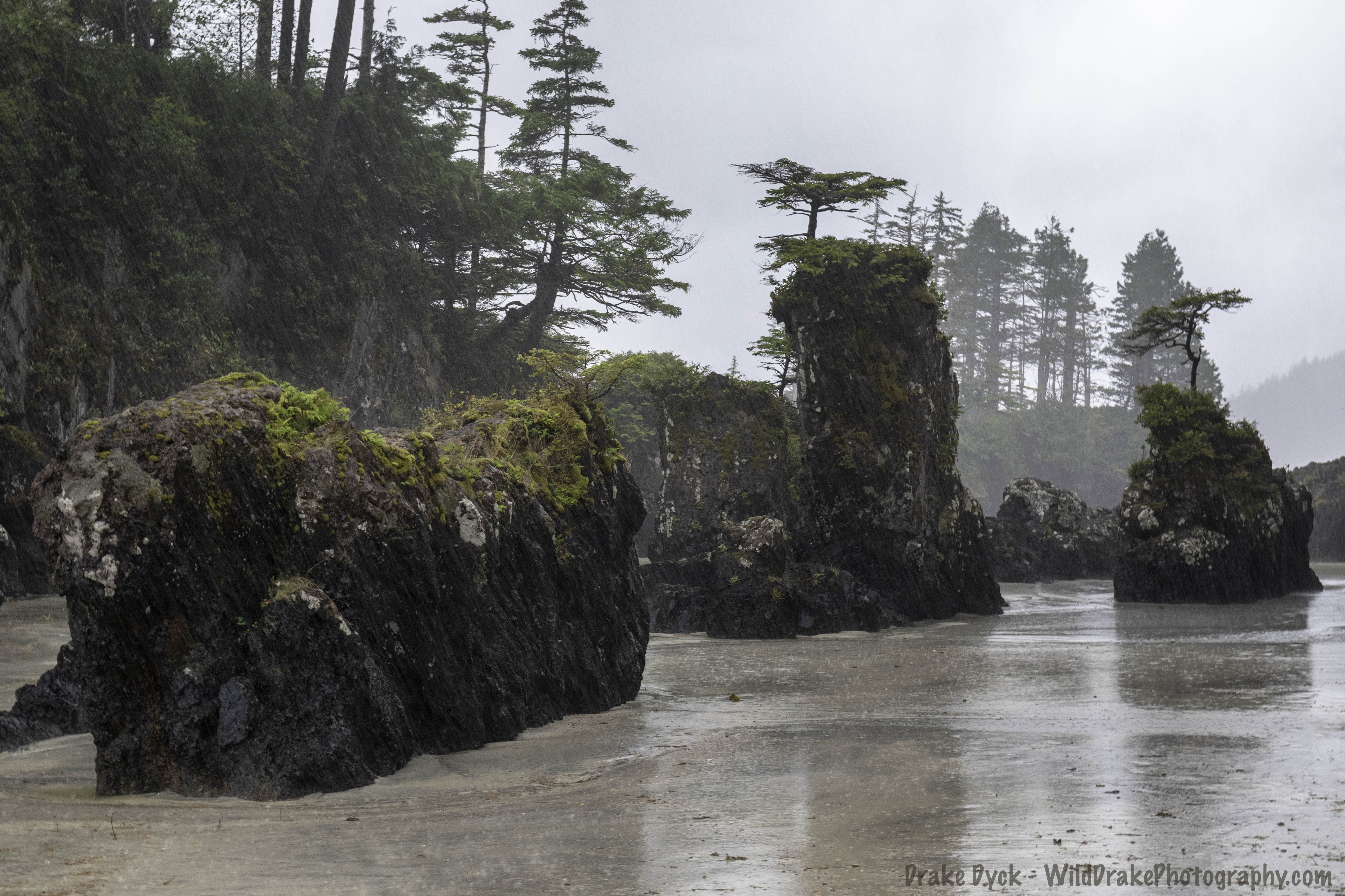 pouring rain in Cape Scott Provincial Park