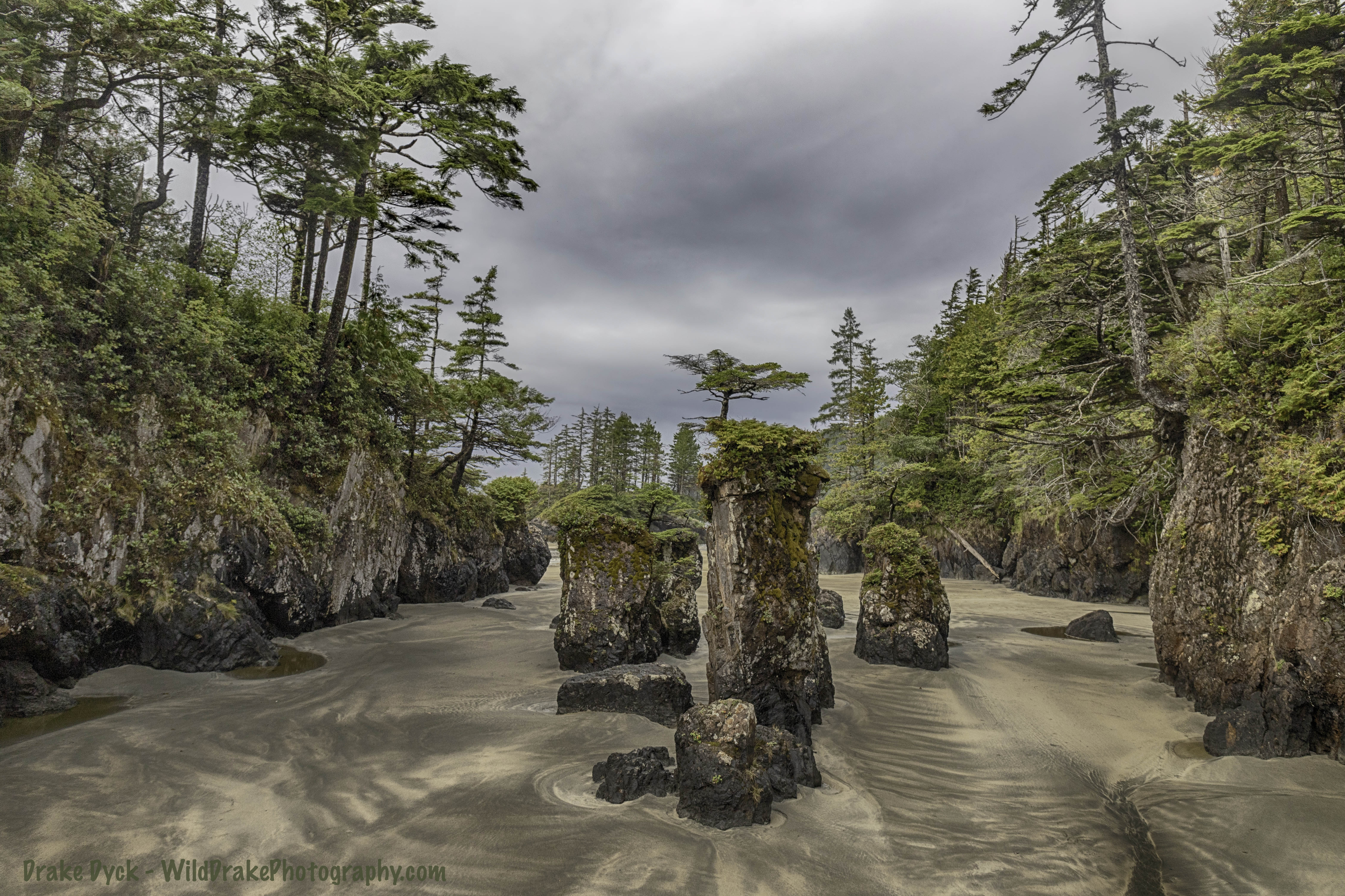 sea stacks erupt from the sand