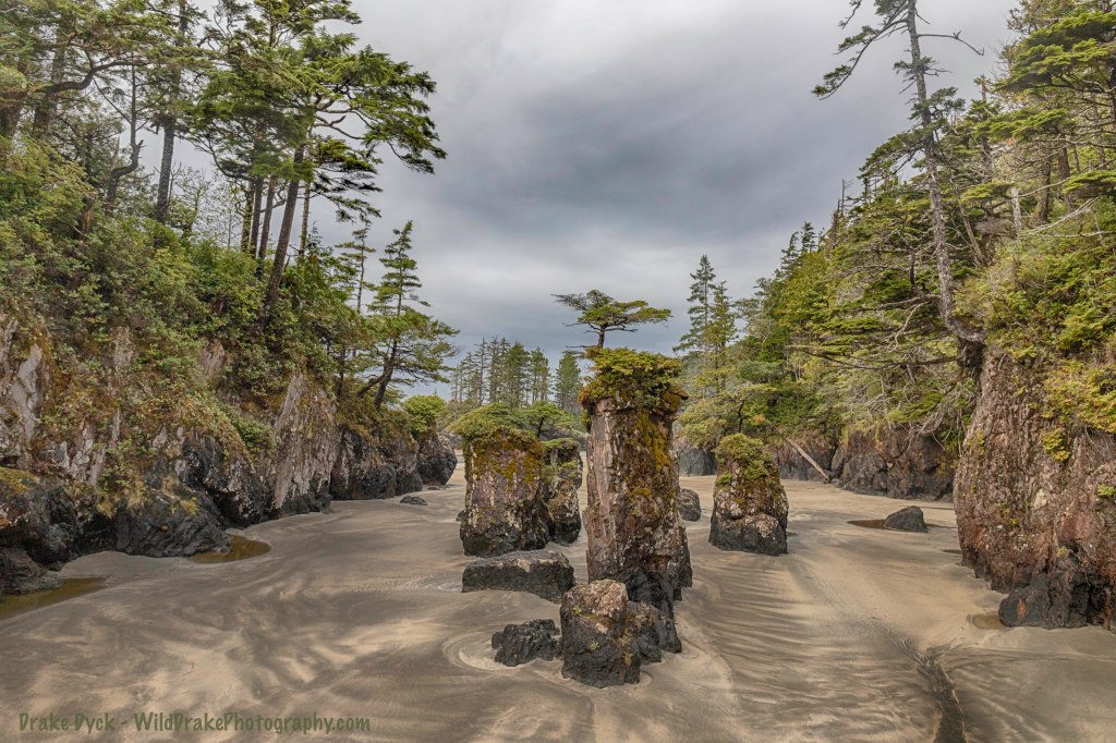 sea stacks erupt from the sand