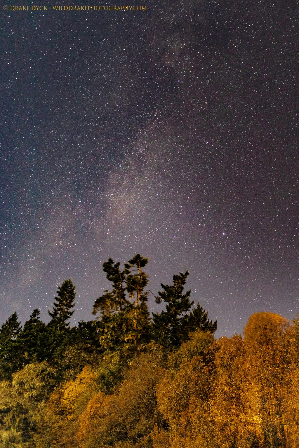 Night Photography in&nbsp;Sooke