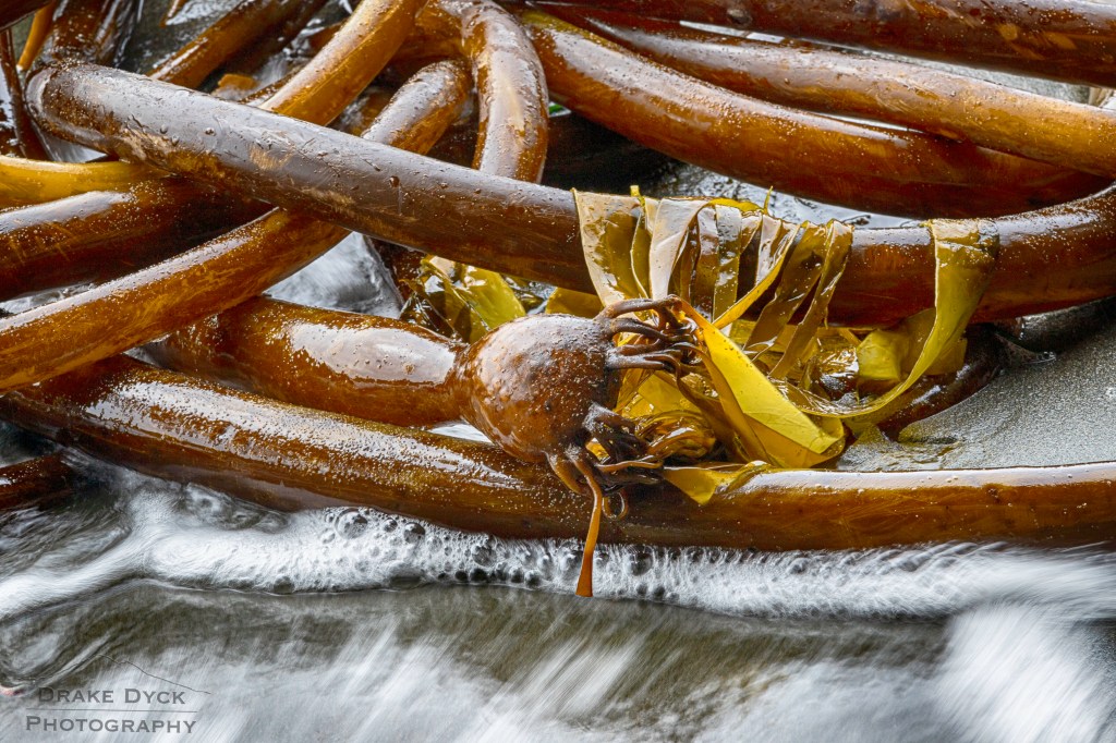 That was 2020… What Photographic Adventures will 2021&nbsp;bring?