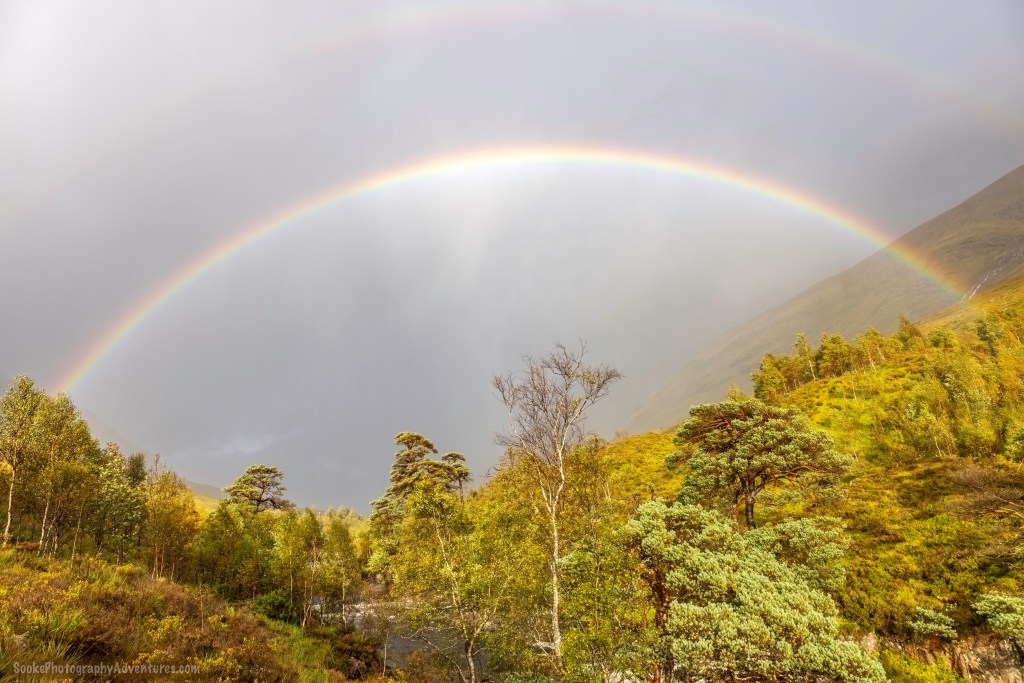 Beautiful rainbow over a woodland area on the Isle of Skye